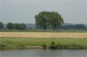 Zwaluwreizen 11-06-2013 044